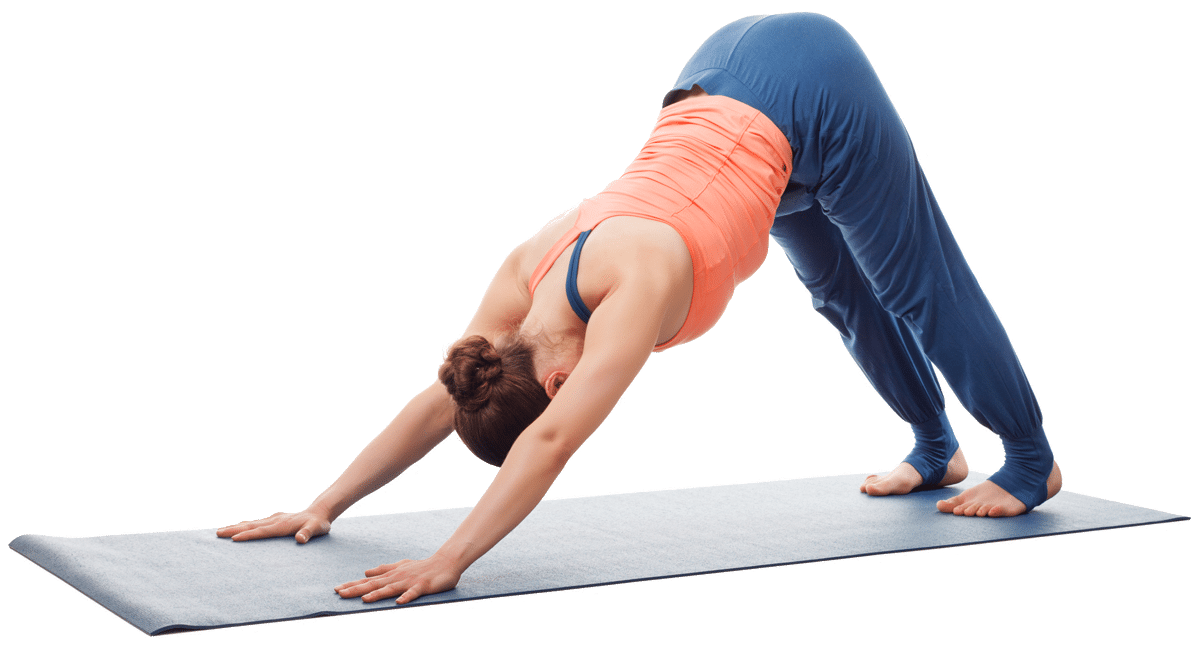 Femme qui pratique le yoga asana - Chien tête en bas